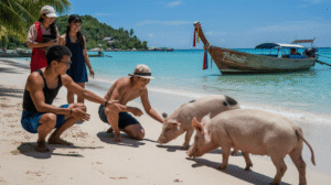 Excursions Ross Lamai